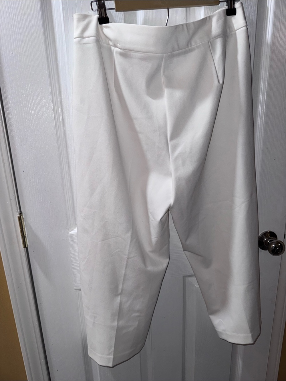 41. Rachel Zoe Wide-Leg Cropped Dress Pants in White - Picture 3 of 9